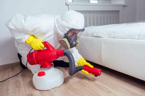 Best Fumigation Services  in Glens Falls North, NY